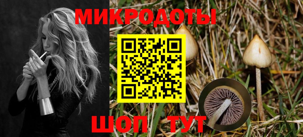 Псилоцибиновые грибы GOLDEN TEACHER Сыктывкар